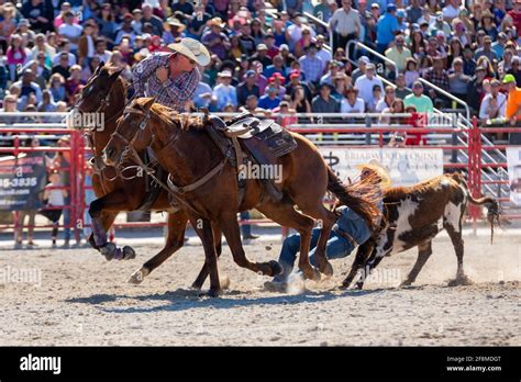 The Aracade Raid/Homestead Stampede 2025 𝚆𝚊𝚝𝚌𝚑 On Alternative Streaming
